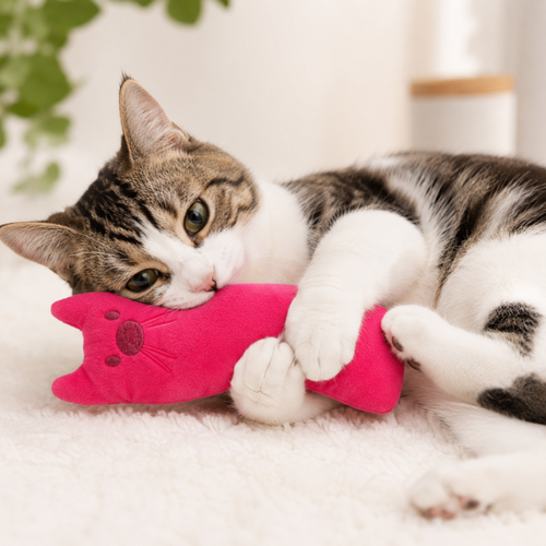 Kitty Kick Catnip Pillow