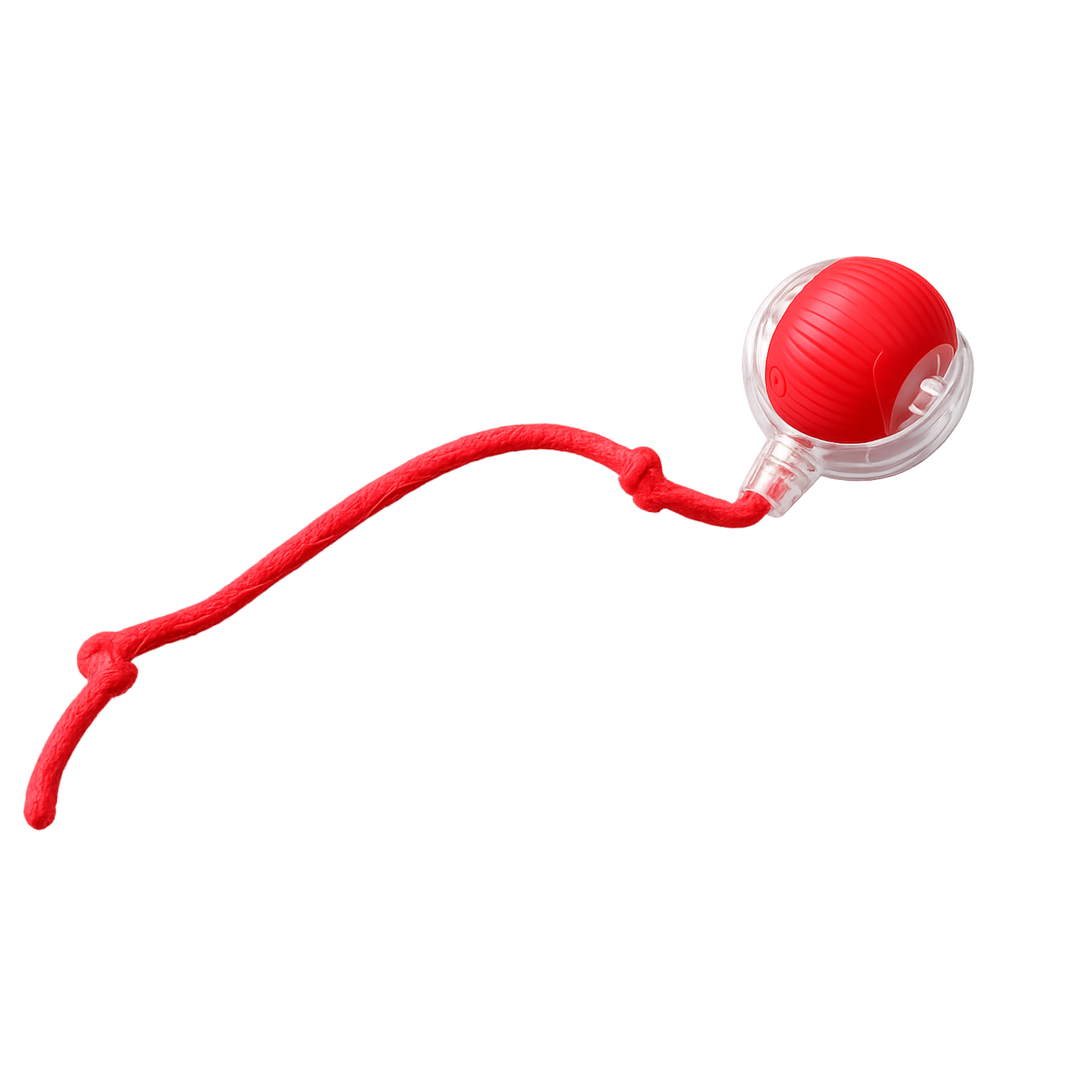 Kitty Hunt Motion Toy