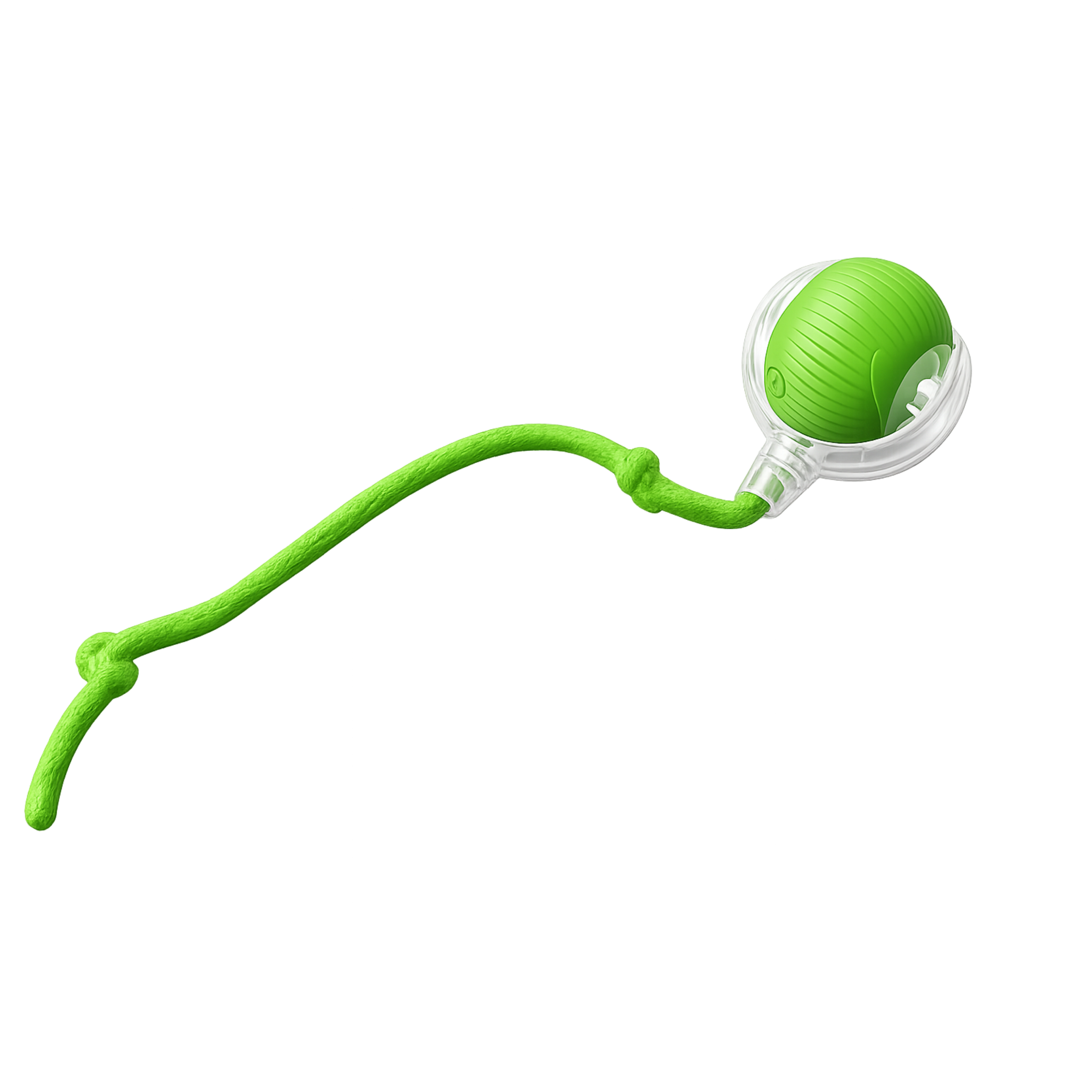 Kitty Hunt Motion Toy