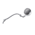Kitty Hunt Motion Toy