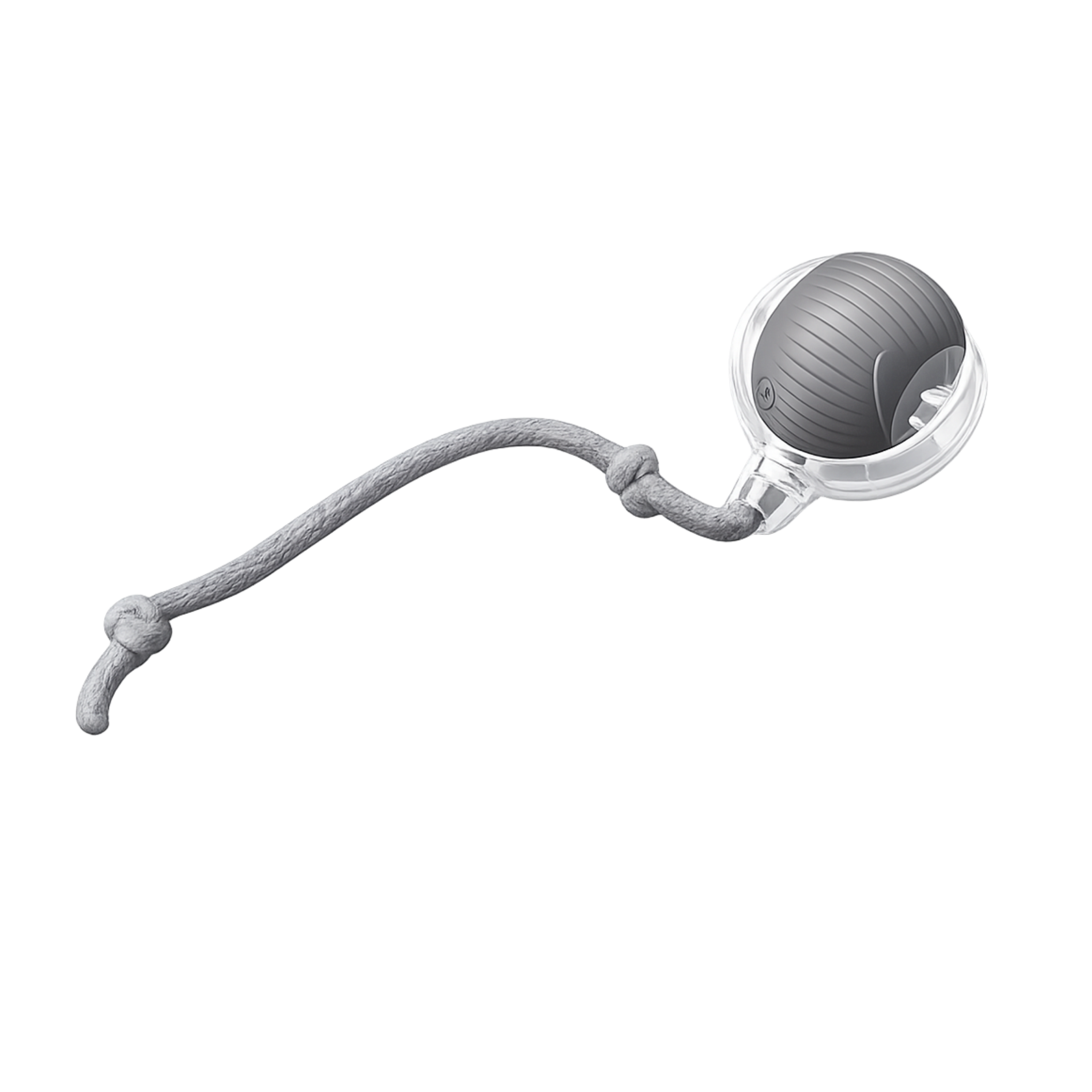 Kitty Hunt Motion Toy
